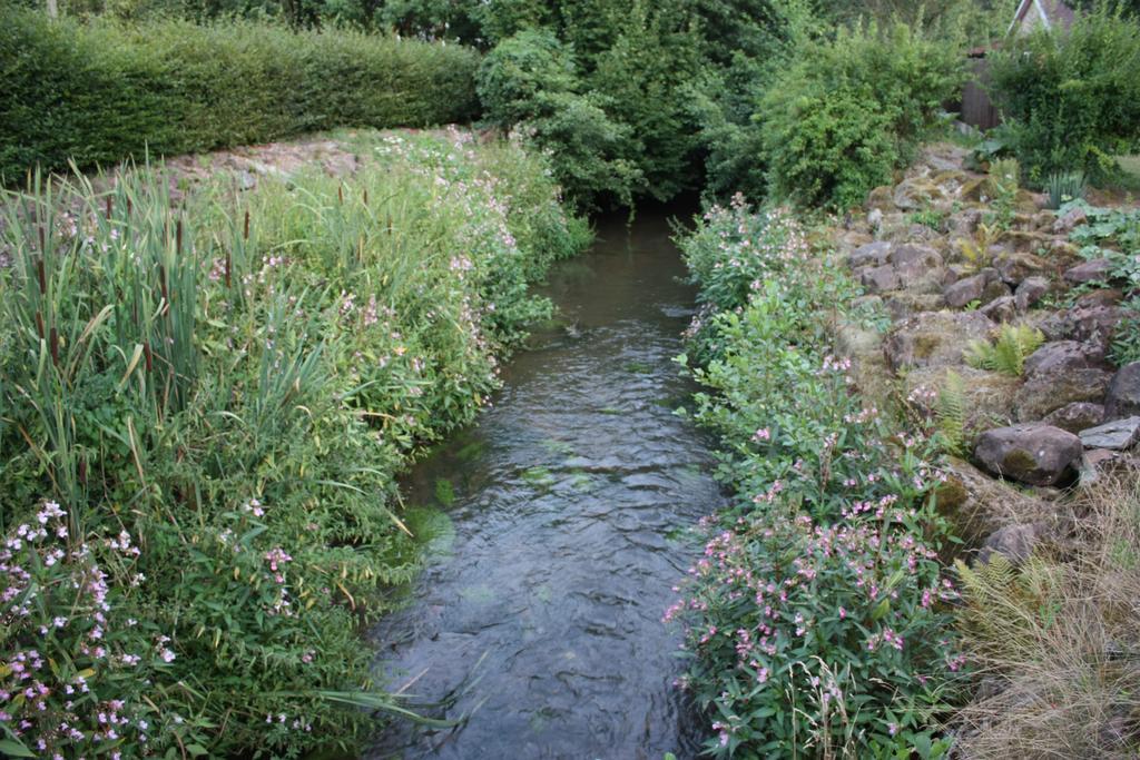Gite Du Moulin Uhrwiller Bagian luar foto